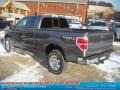 Sterling Grey Metallic - F150 XLT SuperCab 4x4 Photo No. 5