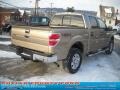 2011 Pale Adobe Metallic Ford F150 XLT SuperCrew 4x4  photo #3