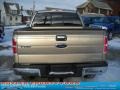 2011 Pale Adobe Metallic Ford F150 XLT SuperCrew 4x4  photo #4