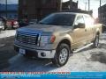 2011 Pale Adobe Metallic Ford F150 XLT SuperCrew 4x4  photo #19