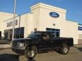 2005 Dark Stone Metallic Ford F350 Super Duty XL Regular Cab 4x4  photo #1