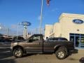 2005 Dark Stone Metallic Ford F350 Super Duty XL Regular Cab 4x4  photo #2