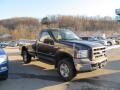 2005 Dark Stone Metallic Ford F350 Super Duty XL Regular Cab 4x4  photo #5