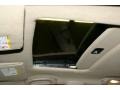 Rich Chestnut/Taupe Sunroof Photo for 2002 Buick Regal #42128722