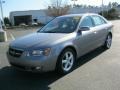 Steel Gray - Sonata SE V6 Photo No. 25