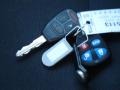 Stone White - Charger  Photo No. 31