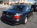 2008 Platinum Grey Metallic BMW 5 Series 528i Sedan  photo #8