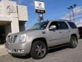 Quicksilver - Escalade AWD Photo No. 1