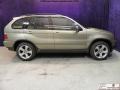 2006 Kalahari Beige Metallic BMW X5 4.4i  photo #4