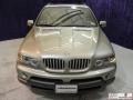 2006 Kalahari Beige Metallic BMW X5 4.4i  photo #18