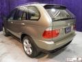 Kalahari Beige Metallic - X5 4.4i Photo No. 20