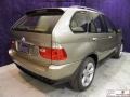 Kalahari Beige Metallic - X5 4.4i Photo No. 21