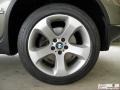 2006 Kalahari Beige Metallic BMW X5 4.4i  photo #34