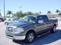 Dark Shadow Grey Metallic - F150 XLT SuperCab Photo No. 14