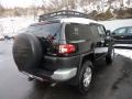 Black Diamond - FJ Cruiser 4WD Photo No. 4