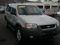 2002 Satin Silver Metallic Ford Escape XLT V6  photo #2