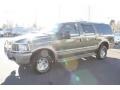 Estate Green Metallic - Excursion Eddie Bauer 4x4 Photo No. 5