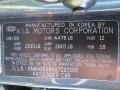 2010 Rondo LX Titanium Gray Color Code I2