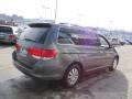 Nimbus Gray Metallic - Odyssey EX-L Photo No. 6