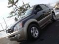 Ebony Black - Sorento EX 4WD Photo No. 1