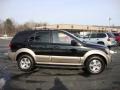 Ebony Black - Sorento EX 4WD Photo No. 7