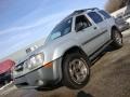 Silver Lightning Metallic - Xterra XE 4x4 Photo No. 1