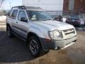 Silver Lightning Metallic - Xterra XE 4x4 Photo No. 4