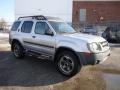 Silver Lightning Metallic - Xterra XE 4x4 Photo No. 6