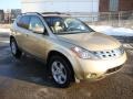 Luminous Gold Metallic - Murano SL AWD Photo No. 4