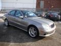Pewter Metallic - E 55 AMG Sedan Photo No. 6