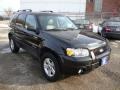 Black - Escape Hybrid 4WD Photo No. 4