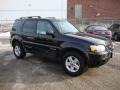 Black - Escape Hybrid 4WD Photo No. 6