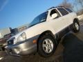 2002 Nordic White Hyundai Santa Fe GLS AWD  photo #1