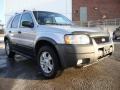 2002 Satin Silver Metallic Ford Escape XLT V6 4WD  photo #5