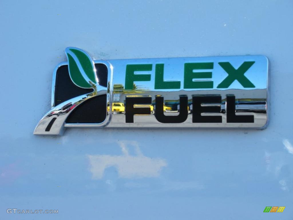 2010 Ford Expedition XLT Marks and Logos Photo #42199123