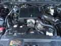 4.6 Liter SOHC 16-Valve V8 2003 Ford Crown Victoria Police Interceptor Engine