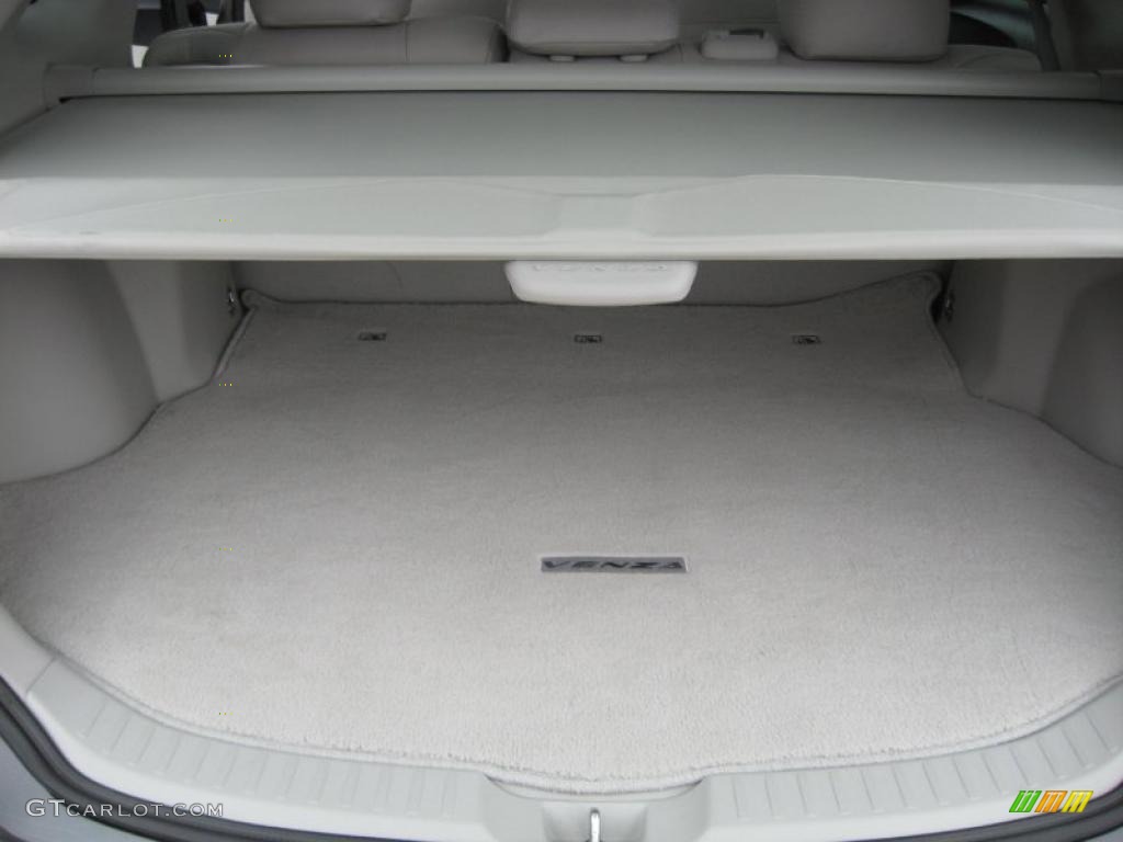 2010 Toyota Venza I4 Trunk Photo #42201611