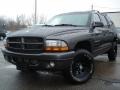 Graphite Metallic - Durango SLT 4x4 Photo No. 30