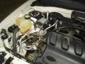 2004 Satin Silver Metallic Ford Escape XLT V6  photo #28