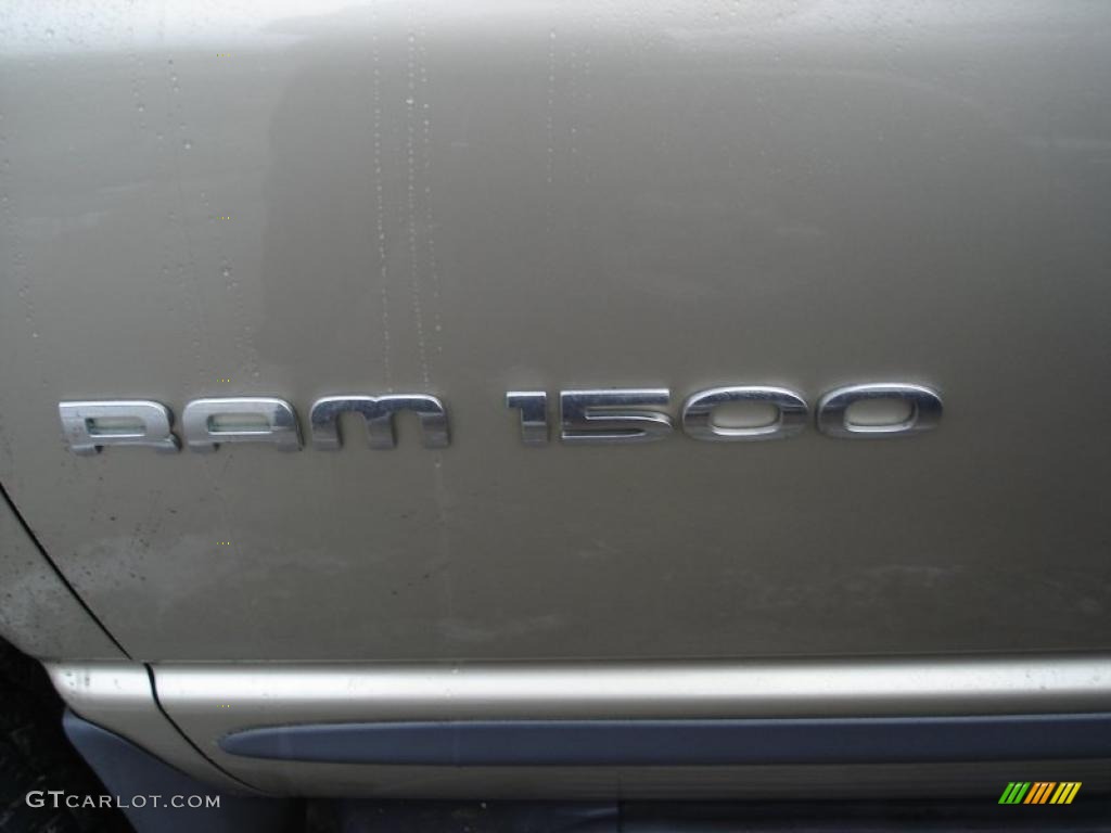 2002 Ram 1500 SLT Quad Cab 4x4 - Light Almond Pearl / Taupe photo #4