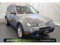 2010 Space Gray Metallic BMW X3 xDrive30i  photo #7