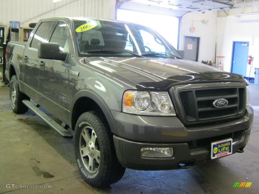 2004 F150 FX4 SuperCrew 4x4 - Dark Shadow Grey Metallic / Black photo #14