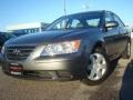 Willow Gray - Sonata GLS Photo No. 1