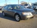 Willow Gray - Sonata GLS Photo No. 7