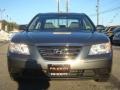 Willow Gray - Sonata GLS Photo No. 8