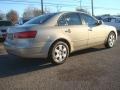 Camel Pearl - Sonata GLS Photo No. 5