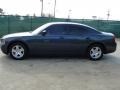 Silver Steel Metallic - Charger  Photo No. 6