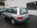 Silverthorn Metallic - Forester 2.5 L Photo No. 2