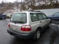 Silverthorn Metallic - Forester 2.5 L Photo No. 4