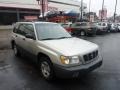 Silverthorn Metallic - Forester 2.5 L Photo No. 6